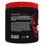 کراتین مونوهیدرات اینسین لبز Insane Labz Creatine Monohydrate - Image 3